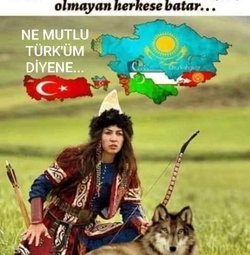 Veysel