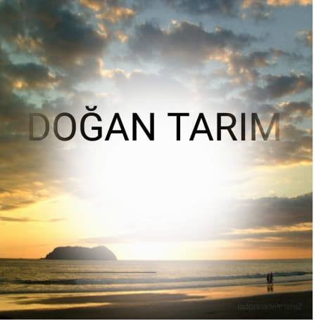 Biçerci