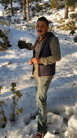 Mahmut