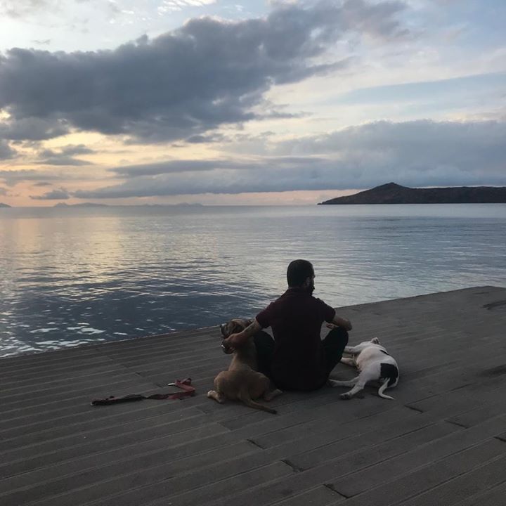 Fırat