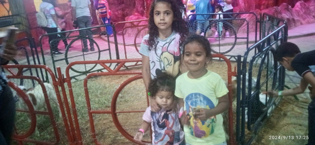 Suail