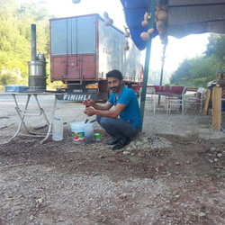 Veysel