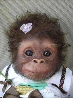 Cangül