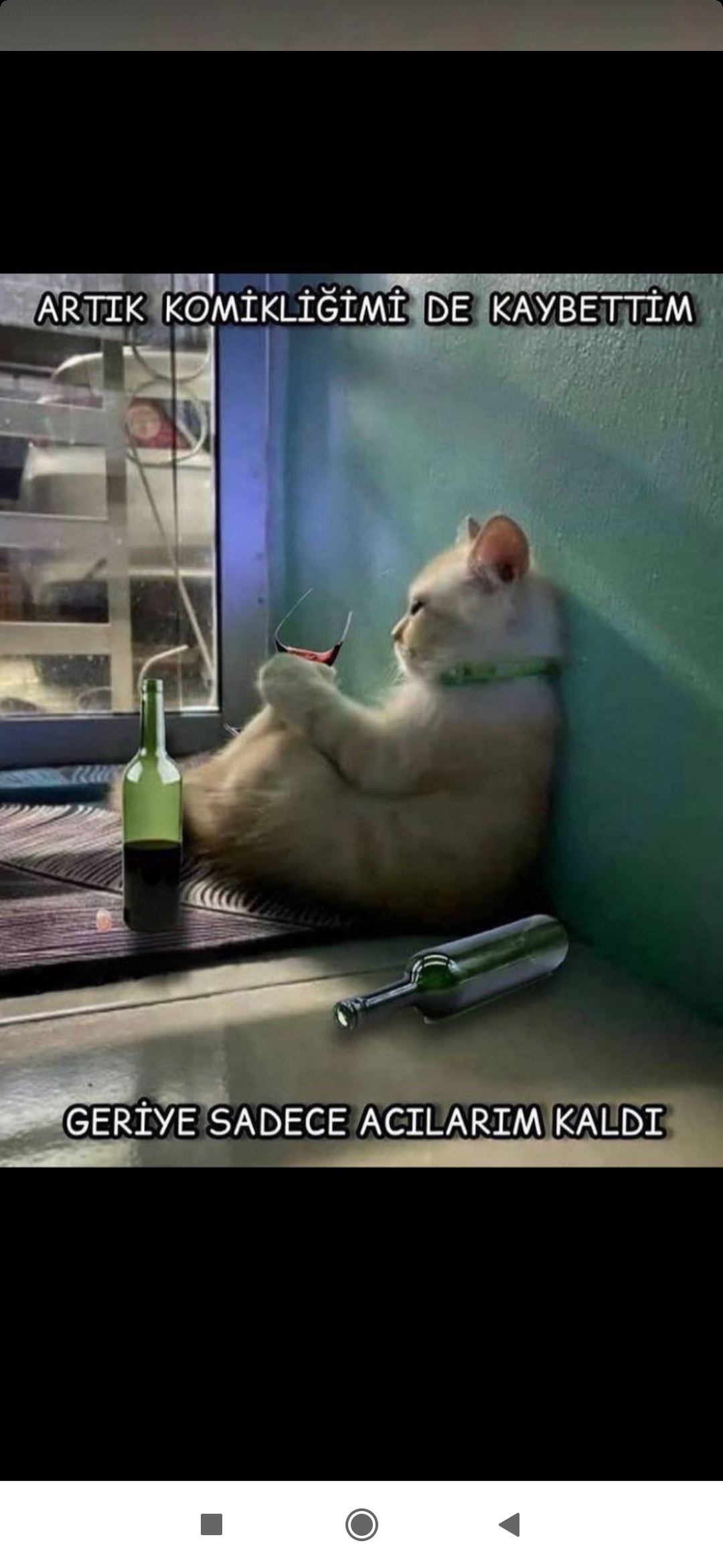 Beyza