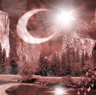 Mert
