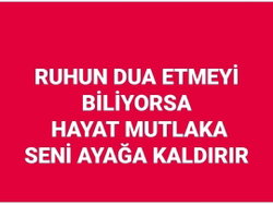 Aykut