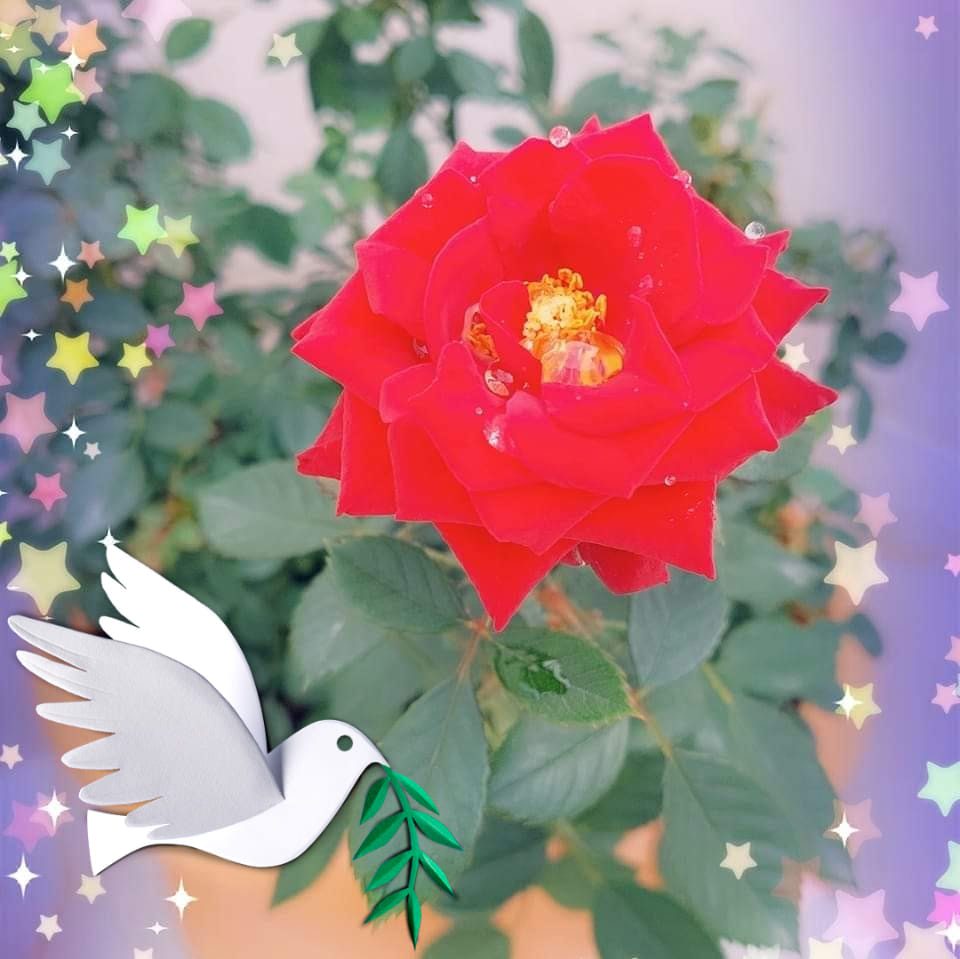 Meryem