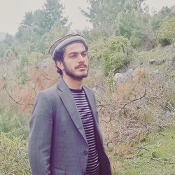 Waleed
