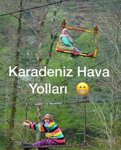 Hayrie
