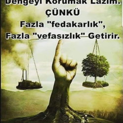 Fırat