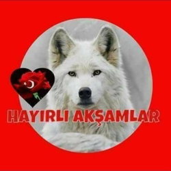 Ismail