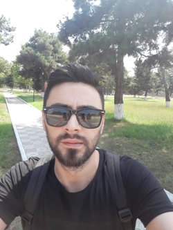 Zaur