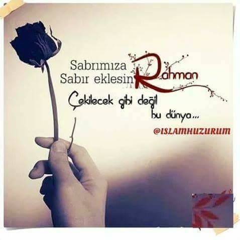 Bir