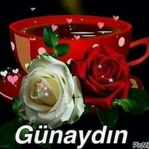Sibel