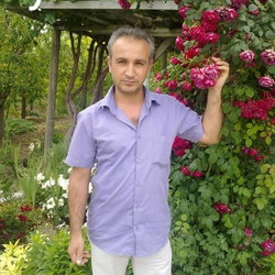 Ayhan