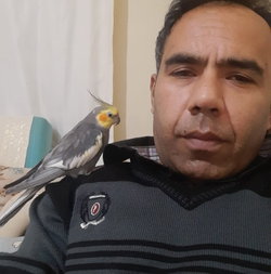 Serdar