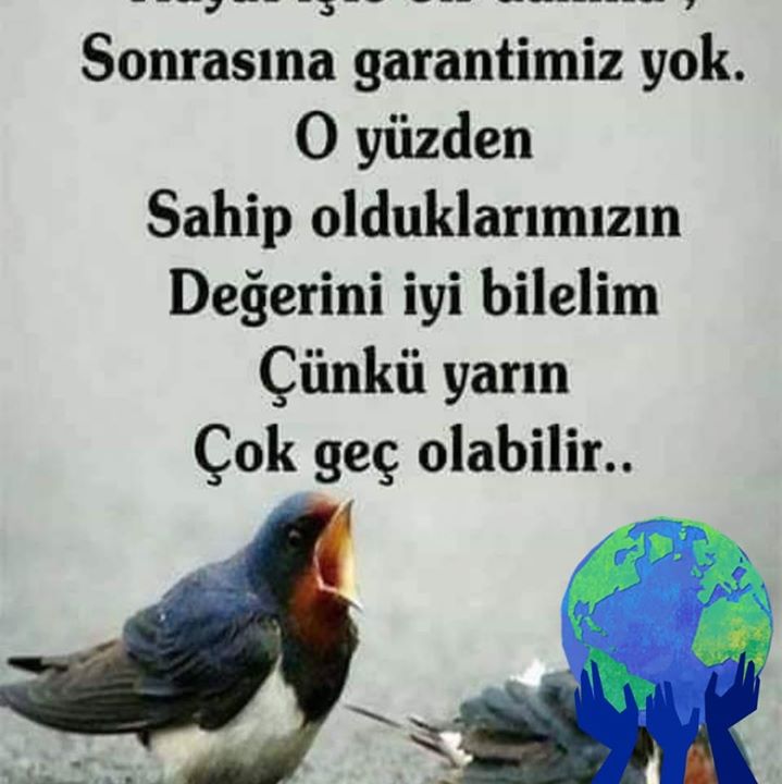 Celal