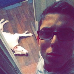 Samet