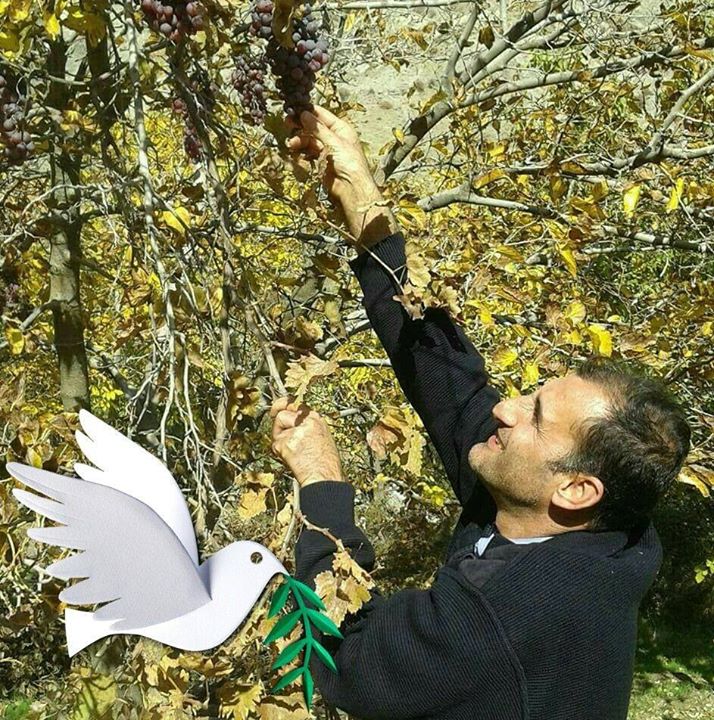 Sezai