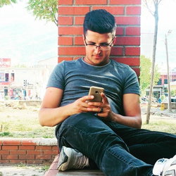 Şahin
