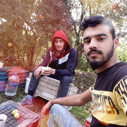 Şevket