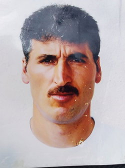 Şahin