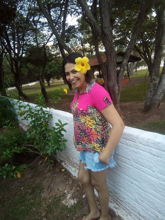 Mechellesilva