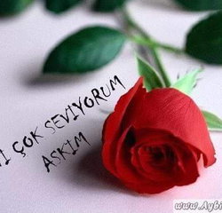 Ercan