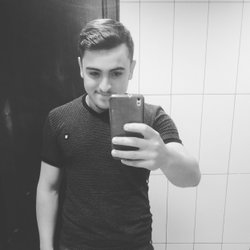 Şahin
