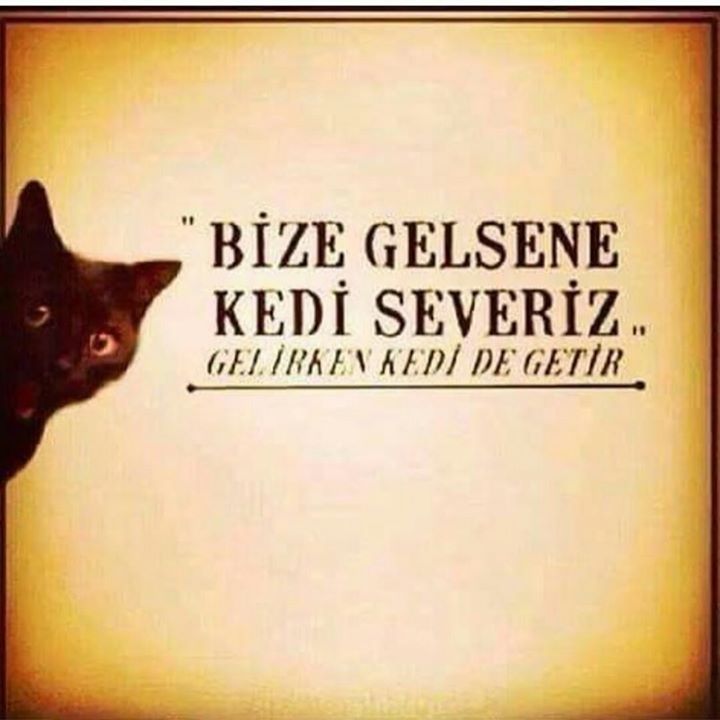 Sibel
