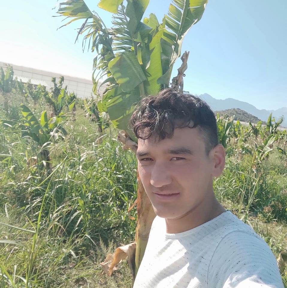 Nur