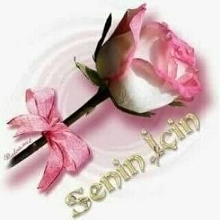 Ismail